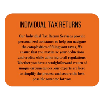 INDIVIDUAL TAX RETURNS